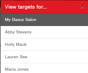 view_targets.PNG